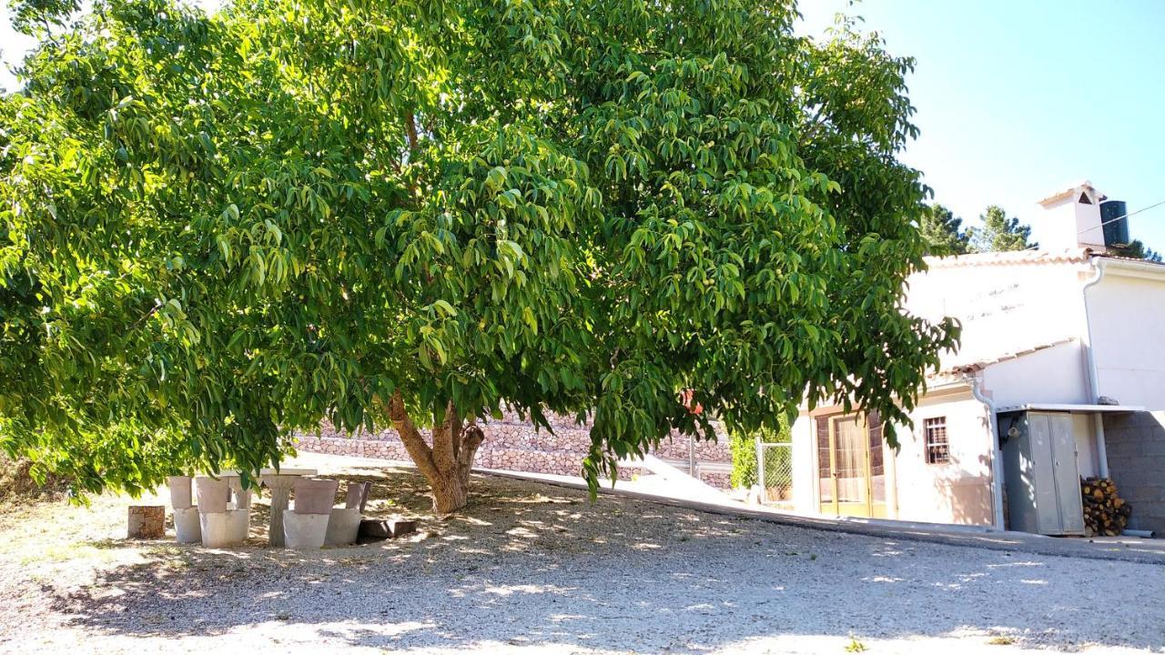 Villa Venta De La Casa Noguera Riópar Exterior foto